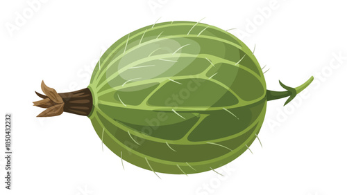 Freshly picked single green gooseberry illustration showcasing its unique texture and vibrant color a healthy nutritious fruit graphic for various