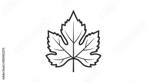 Stylized monochrome botanical illustration of a fresh vine leaf with detailed venation