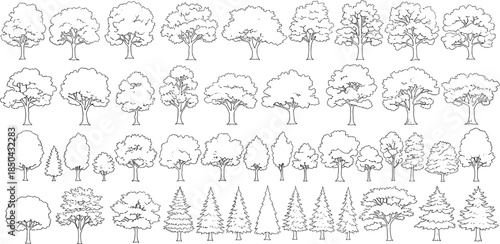 Diverse collection of hand-drawn line art tree outlines, perfect for natural design concepts and decorative botanical illustrations, offering a variety of plant shapes