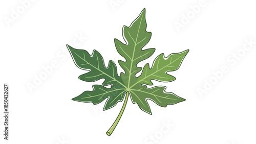 A fresh vibrant green tropical leaf, distinctly hand-drawn with clear venation, isolated on a clean white background, symbolizing natural growth and