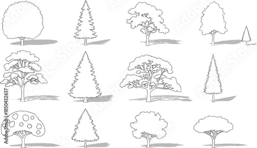 Collection of Diverse Tree Illustrations in Sketch Style, Featuring Various Shapes and Sizes