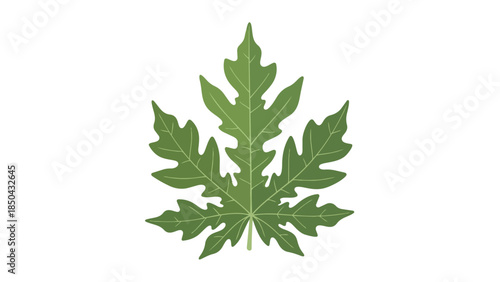 Vibrant green leaf illustration on a clean white background capturing the essence of botanical elegance and natural design simplicity for organic
