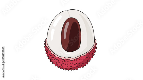 A vivid illustration of a single lychee fruit meticulously split revealing its pristine translucent white flesh and the dark brown central seed
