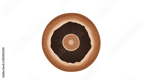 Detailed aerial perspective of a mushroom cap revealing its intricate gill structure, a fundamental element in natural fungi biology and gourmet