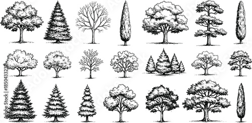 Collection of Diverse Tree Illustrations with Detailed Sketches and Various Styles for Natural and Architectural Designs