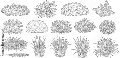 Collection of hand-drawn outline trees featuring diverse species and botanical forms, ideal for nature-themed designs, educational resources, or graphic projects requiring a natural aesthetic