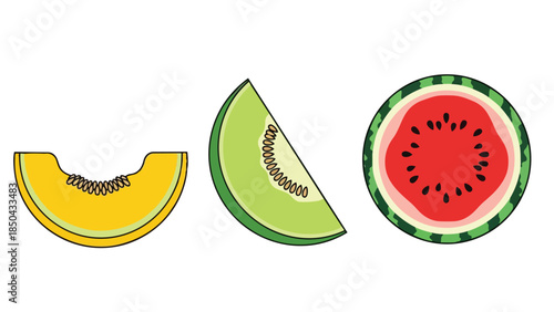 A bright vector illustration displaying three refreshing fruit slices: golden cantaloupe, emerald honeydew, and ruby watermelon, symbolizing healthy