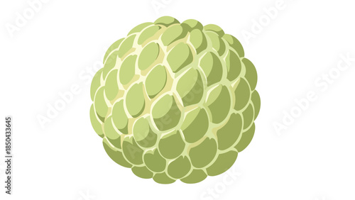 Exotic green sugar apple illustration vector art showcasing tropical fruit's unique texture and vibrant color for healthy living designs and organic
