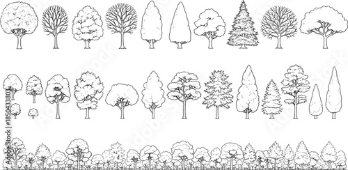 Architectural Line Art Tree Collection Diverse Deciduous and Coniferous Species for Landscape Design, Technical Drawings, and Nature-Inspired Graphic Illustrations