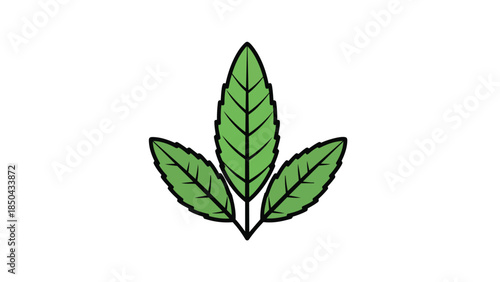 Minimalist graphic artwork showcasing three fresh verdant leaves prominent dark outlines symbolizing natural growth and pure organic essence bright