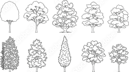 Collection of diverse deciduous and evergreen trees, architectural plans, and landscape design elements in a schematic drawing style