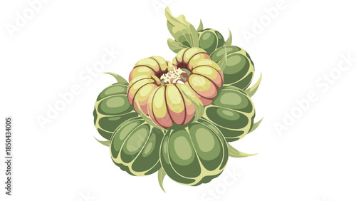 Stylized botanical cluster with central bloom and green pods digital illustration. Organic shapes, fresh colors, nature's elegance visually