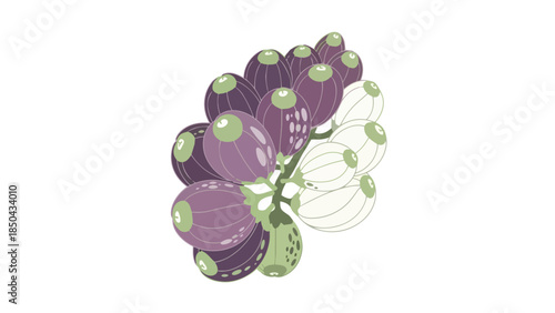 Vibrant abstract berry cluster illustration with harmonious purple and white hues a captivating botanical design