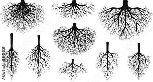 Collection of stylized black and white tree roots, illustrative design elements