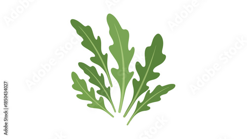 Vibrant green leafy vegetable illustration, a fresh culinary herb element for healthy eating designs