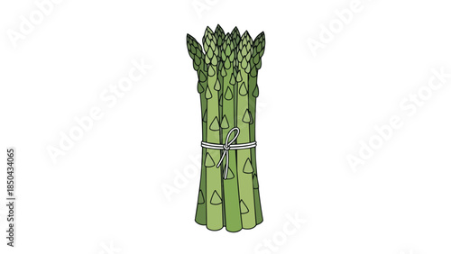 Vibrant green asparagus bundle, an illustration of fresh healthy vegetables ready for culinary use