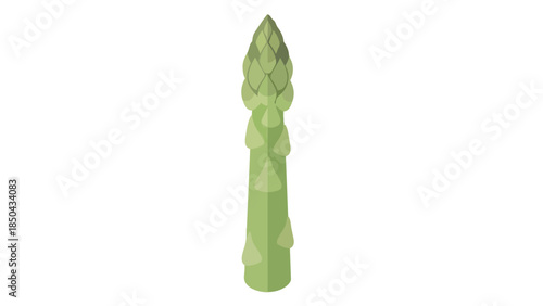 This vibrant illustration showcases a single fresh green asparagus spear, standing tall with its characteristic pointed tip and layered scales,