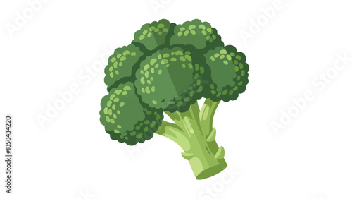 A fresh, vibrant green head of broccoli, showcasing its natural goodness and healthy appeal for culinary use.