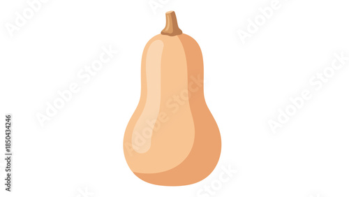 Clean vector graphic of a fresh butternut squash, displaying its distinct pear-like form and smooth, inviting, warm orange autumnal skin. Ideal for