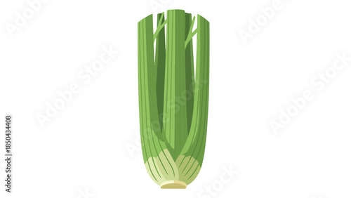 Freshly harvested green celery stalks vector illustration for healthy food concepts and dietary themes