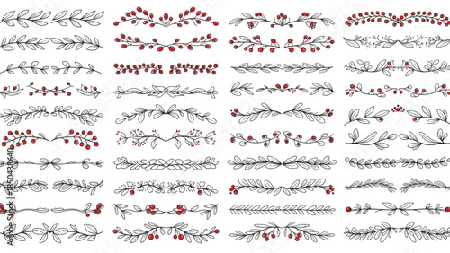 Collection of hand drawn floral elements and dividers with berries