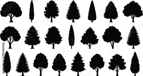 Set of Various Black Forest Tree Silhouettes, Including Evergreen, Deciduous, and Conifer Shapes, Nature Botanical Vector Illustration Collection, Isolated on White.