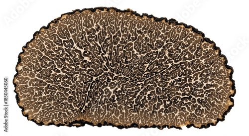 Captivating cross-section of a black truffle showcasing its intricate pattern and rich texture for