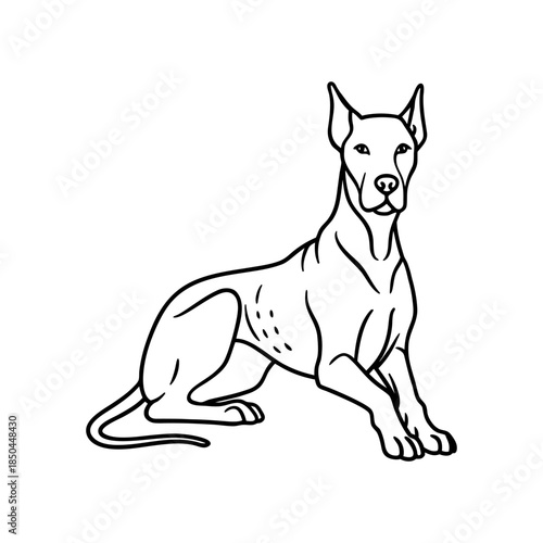 Great Dane Resting In Gentle Pose Line Art Minimal And Simple White Background Only