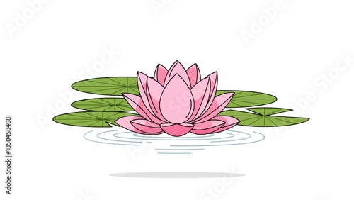 Pink lotus flower floating on water surrounded by green lily pads