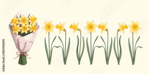 Daffodils bouquet and flowers in watercolor style with soft yellow color and pastel texture for spring greeting card