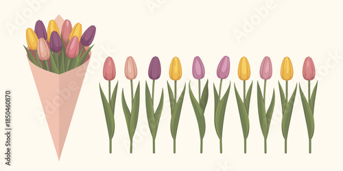 Pastel tulip bouquet and individual flowers in cheerful flat design with soft pastel colors on a light background as clean vector illustration for spring holiday greetings and floral decor.