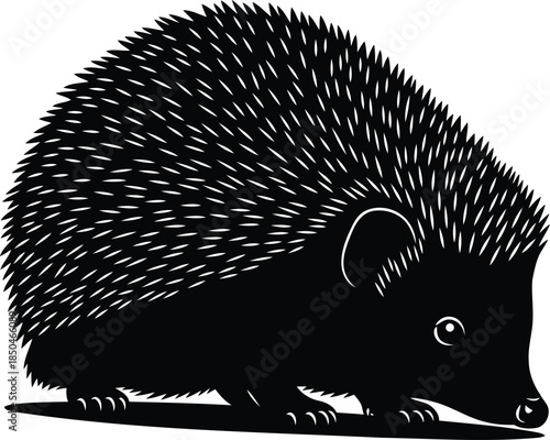 Cute hedgehog animal illustration in black and white style