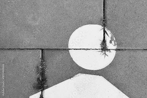 Minimalist black and white pavement marking resembling a human figure, cracked by weeds, symbolizing urban life and decay.