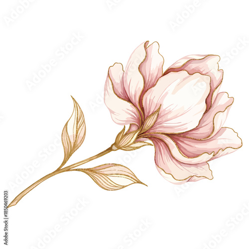 Exquisite Watercolor Magnolia Bloom with Glimmering Golden Edges and Stem
