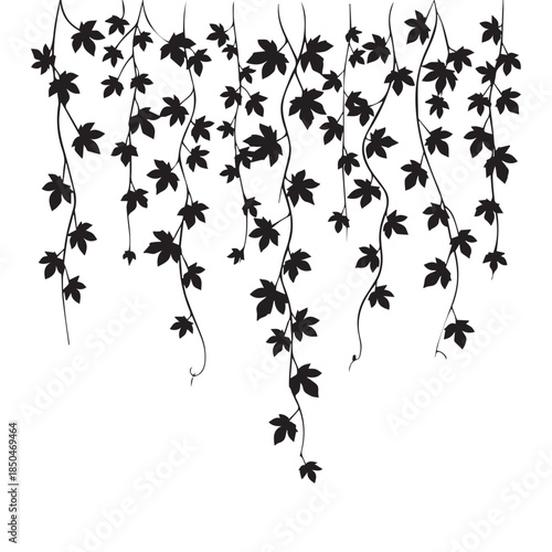 Hanging Ivy Vines Silhouette Vector Illustration, Decorative Creeping Plant Foliage for Wall Decor and Border Accents
