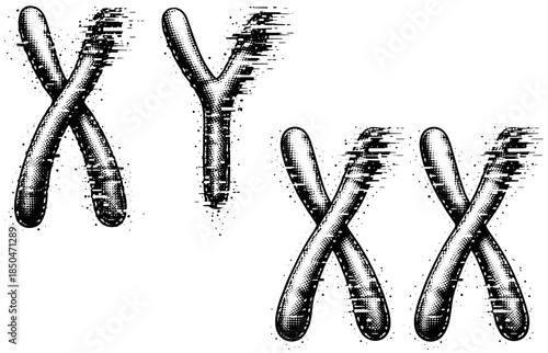 Vintage Chromosomes Engraving Vector, Inverted Black White Xerography on Transparent Background