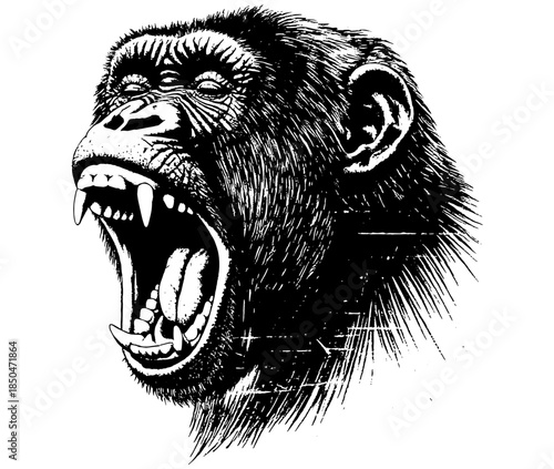 Vintage Roaring Gorilla Engraving T Shirt Design, Inverted Black White Xerography Vector on Transparent Background
