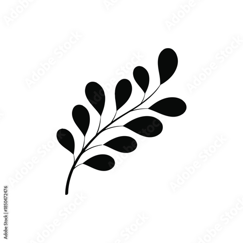  vector illustration  leaf