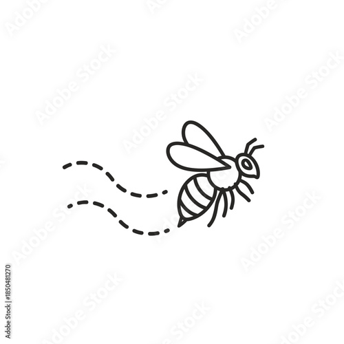 vector illustration of a spider