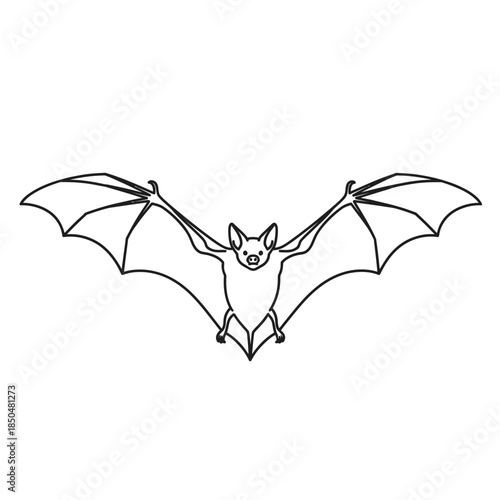 bat and bats