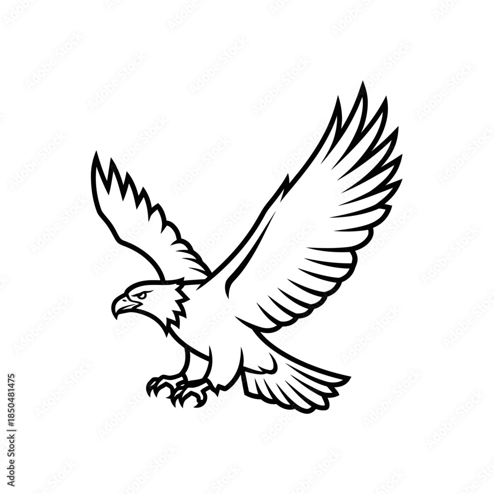 Obraz premium eagle vector illustration