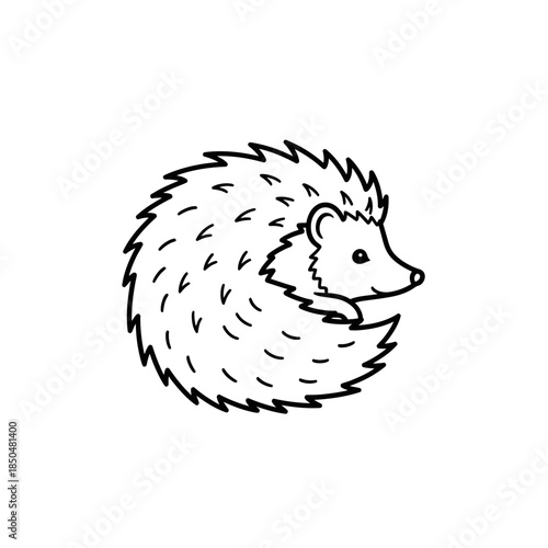 hedgehog on a white background