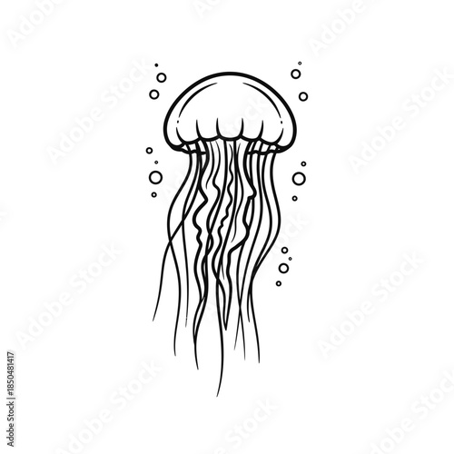 jellyfish on black background