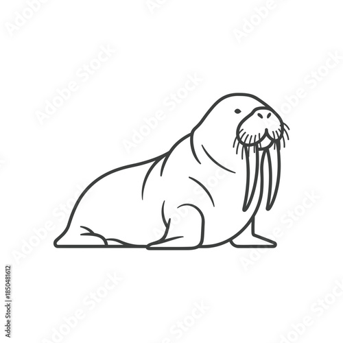 a-walrus-with-tusks-outline.