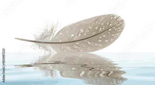 Elegant feather floating on water with reflection and gentle ripples in neutral tones