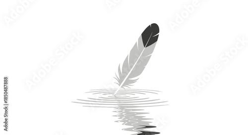 Minimalist black and white feather illustration reflecting on water surface