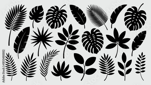 Tropical palm leaves vector set featuring elegant silhouettes isolated on white background, botanical foliage collection ideal for summer design, nature graphics, decoration, and creative projects