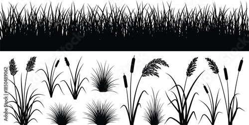 Detailed Grass, Bulrush, and Cattail Silhouette Vector Set, Realistic Collection of Wild Plants, Ideal for Landscape Design, Nature Borders, Environment Graphics, and Outdoor Scenery Backgrounds.