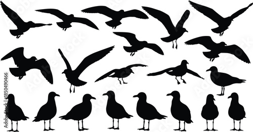 Flying and Standing Seagull Silhouettes Vector Set, Collection of Sea Birds in Various Poses, Ideal for Nautical, Ocean, Marine Life, Coastal Landscape, and Freedom Concepts.