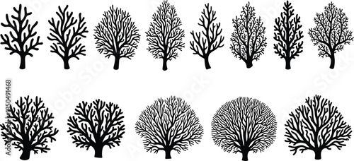 Bare Tree and Bush Silhouettes Vector Collection, Diverse Set of Leafless Trees with Complex Branches, Ideal for Winter, Autumn, Horror, Ecology, and Natural Landscape Designs.